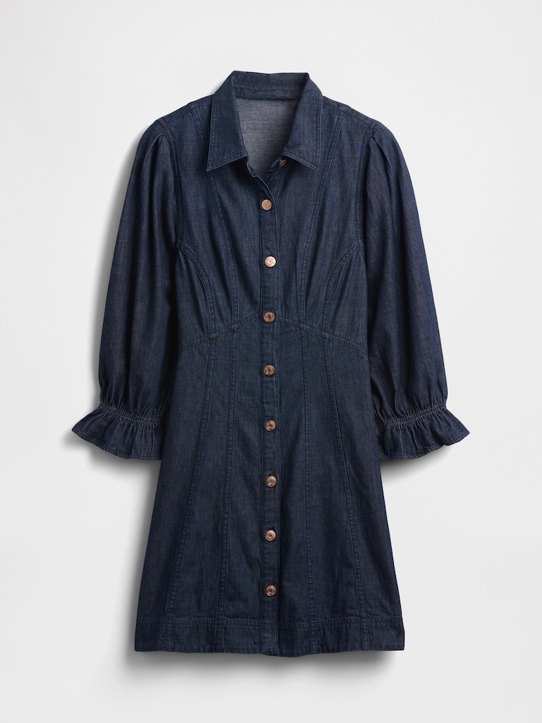 Denim Puff-Sleeve Seamed Mini Dress