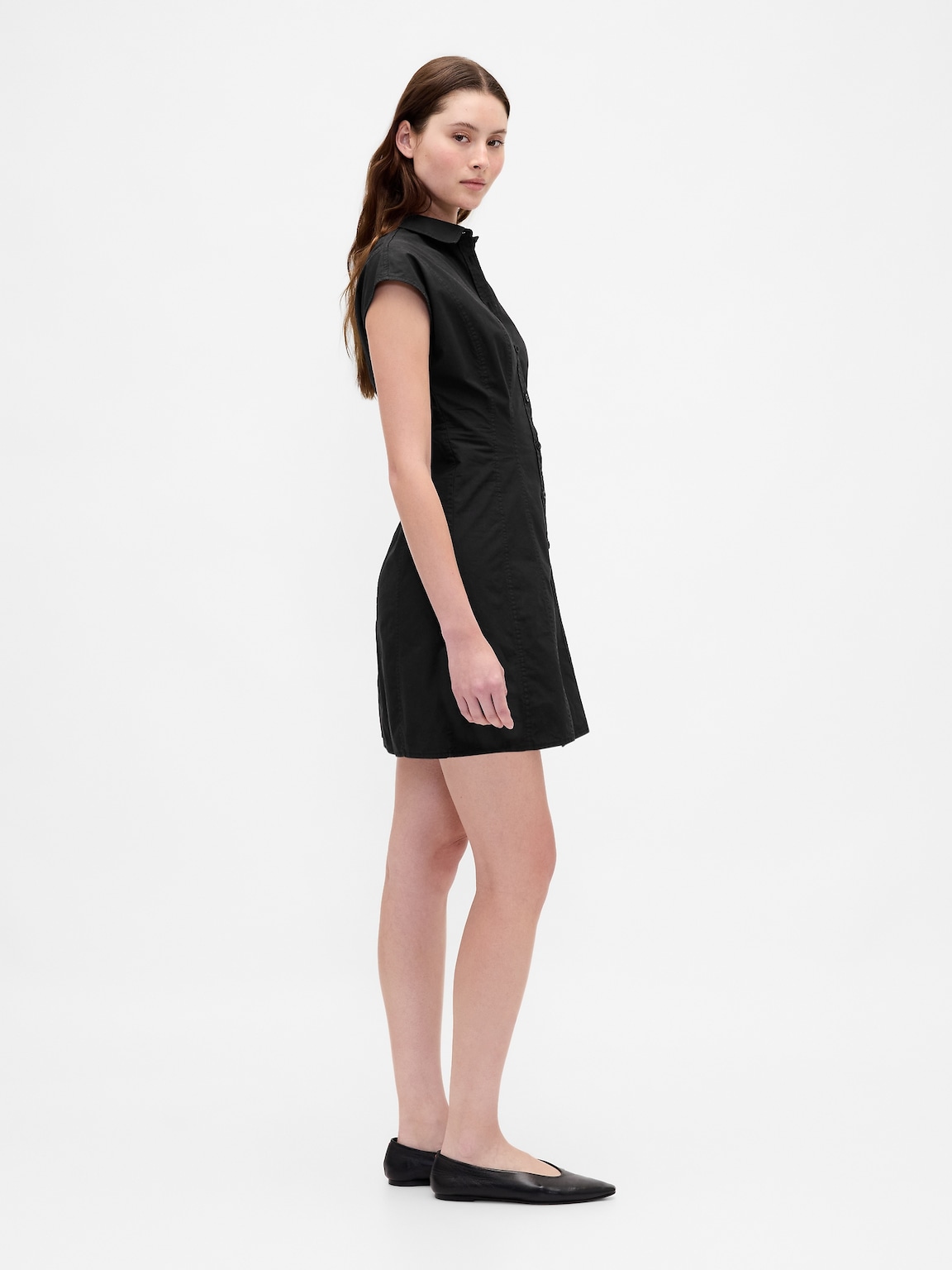 Poplin Seamed Shirtdress
