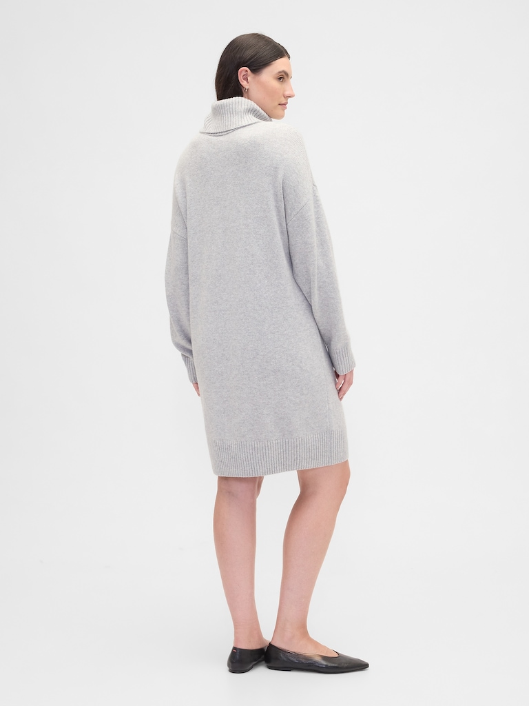 CashSoft Relaxed Turtleneck Sweater Mini Dress