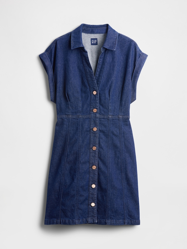 Denim Seamed Mini Dress