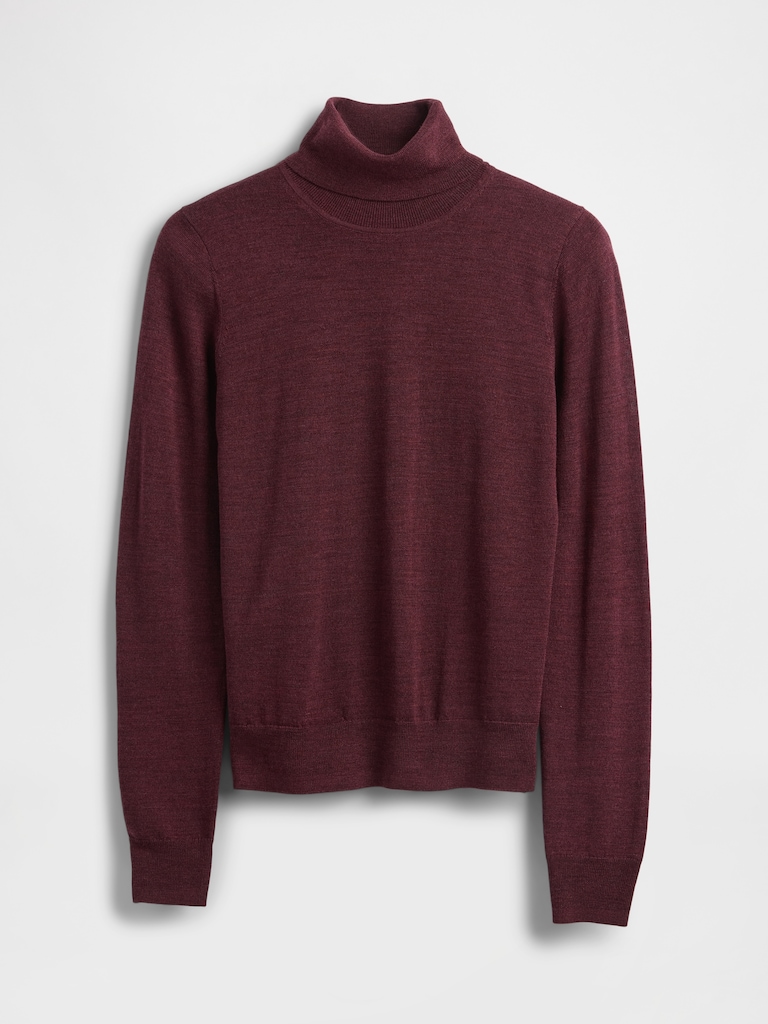 Merino Turtleneck Sweater