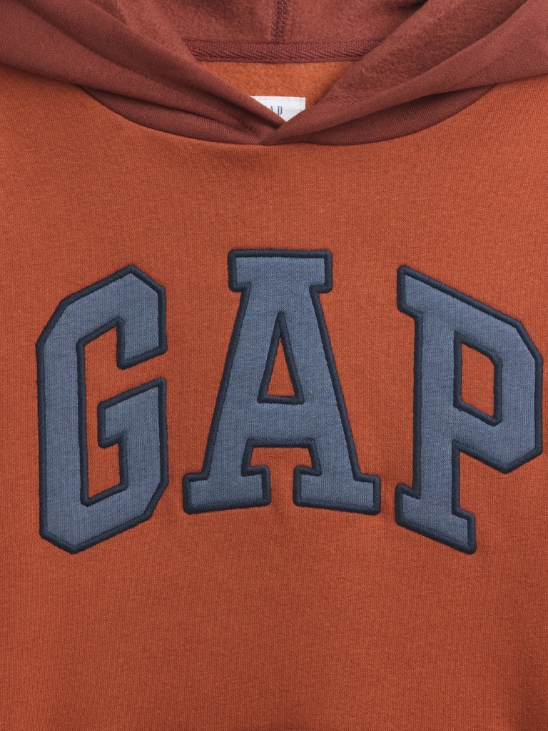 Kids Relaxed Gap Logo Colorblock Hoodie