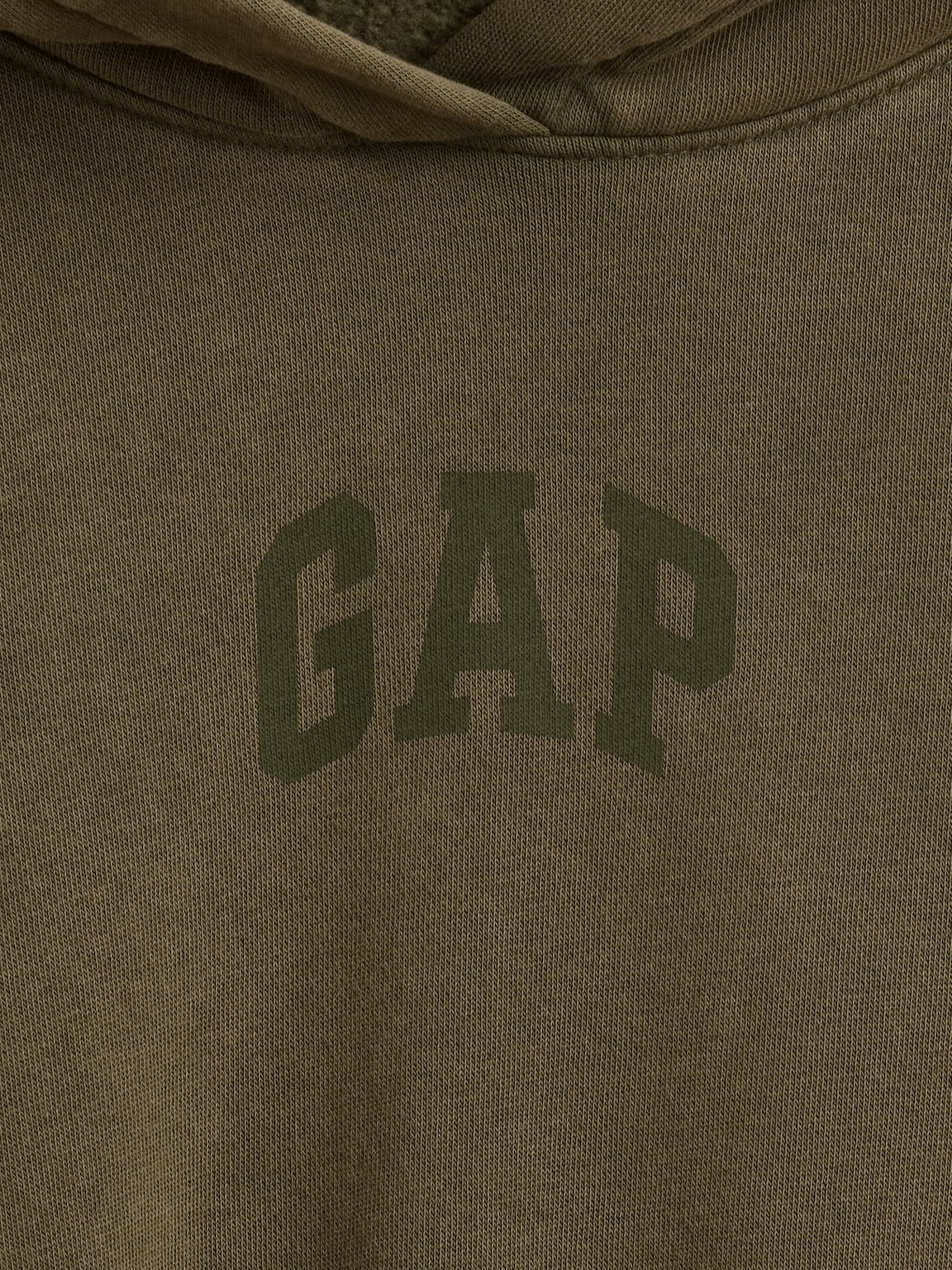 VintageSoft Crop Logo Hoodie