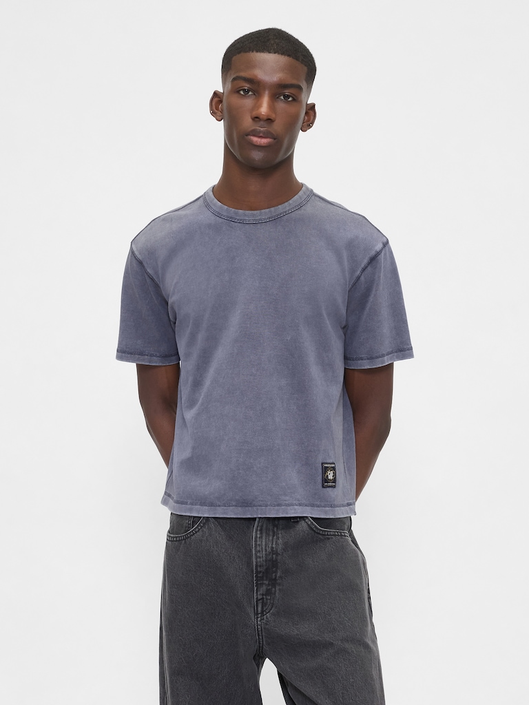 Heavyweight Crop Graphic T-Shirt