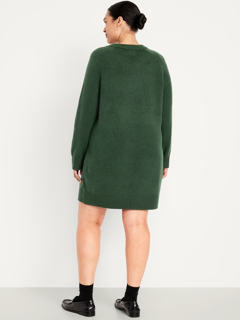 SoSoft Mini Sweater Dress