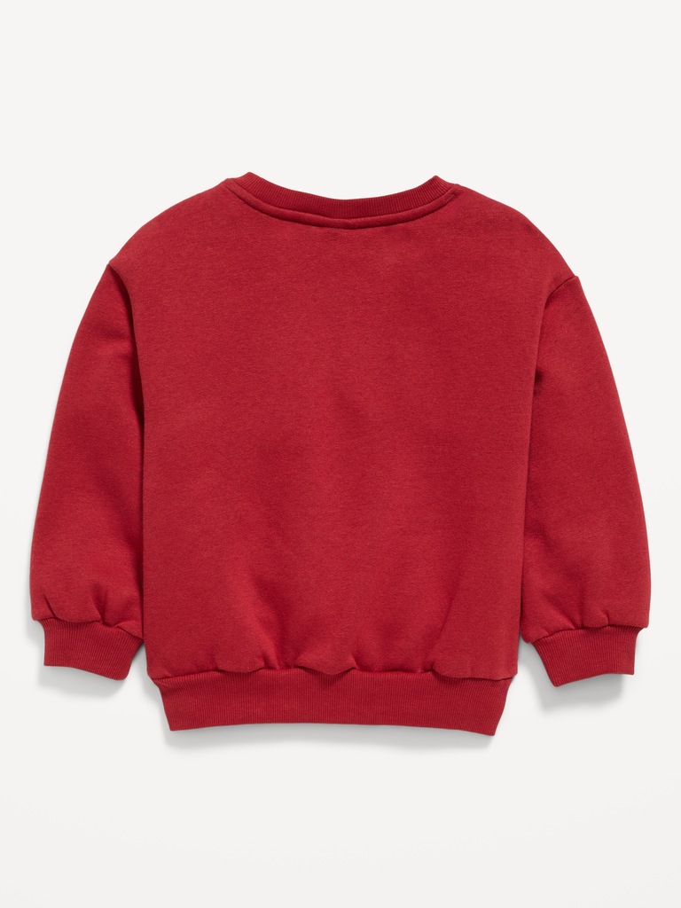 Embroidered Graphic Sweatshirt for Toddler Girls