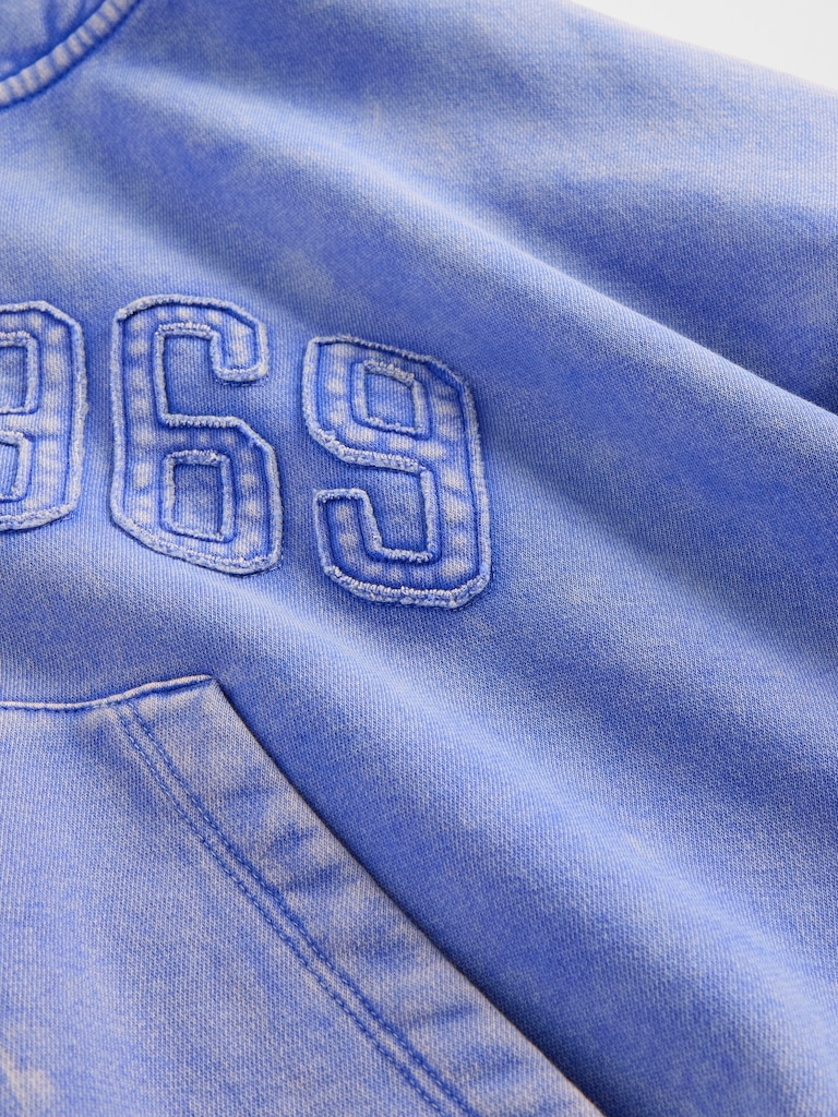 VintageSoft 1969 Logo Zip Hoodie