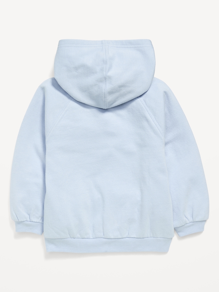 Licensed Graphic Pullover Hoodie for Toddler Girls