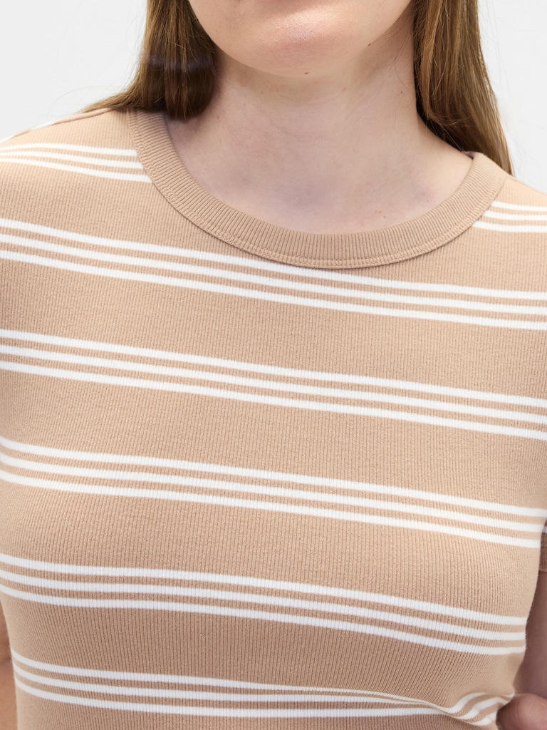 Ribbed Stripe Crewneck T-Shirt