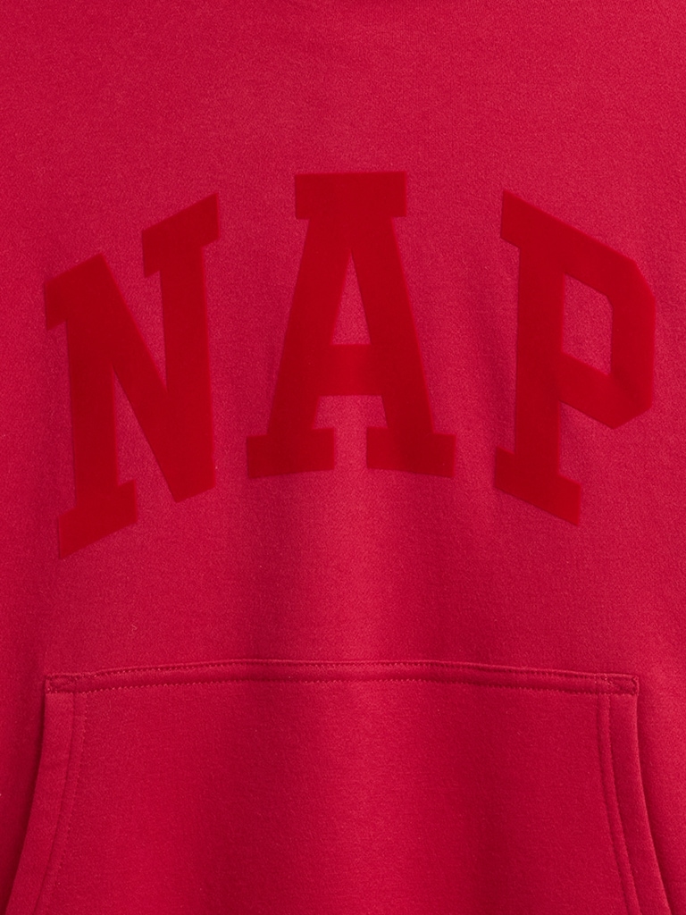 VintageSoft NAP Logo Hoodie