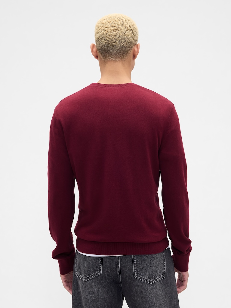 Cotton V-Neck Sweater