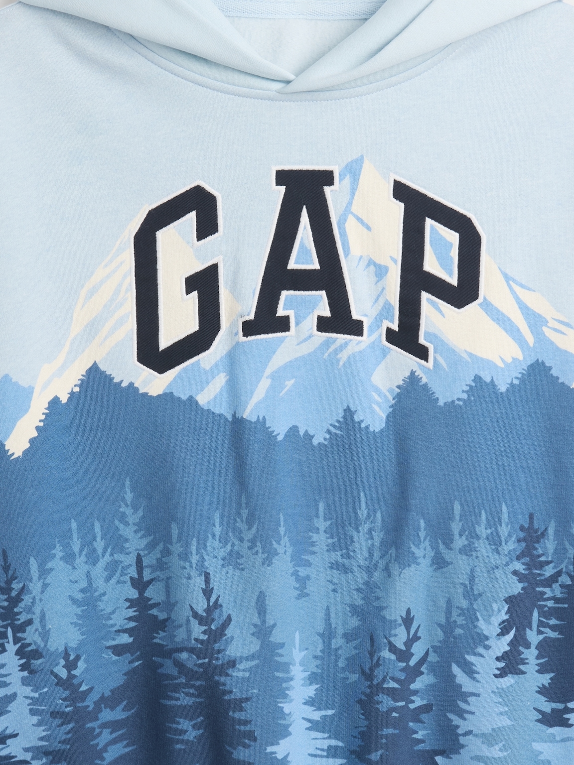 Kids Graphic Logo Hoodie