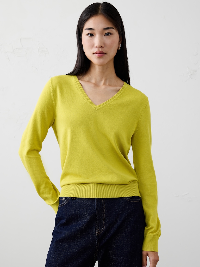 Forever V-Neck Sweater