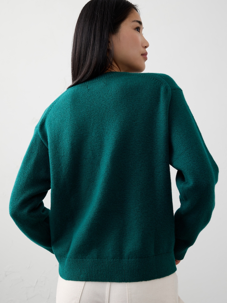 Coveted V-Neck Sweater