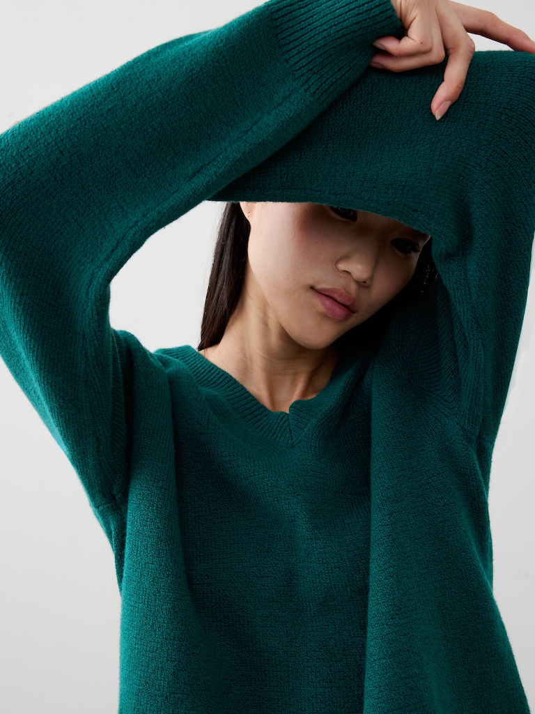 Coveted V-Neck Sweater
