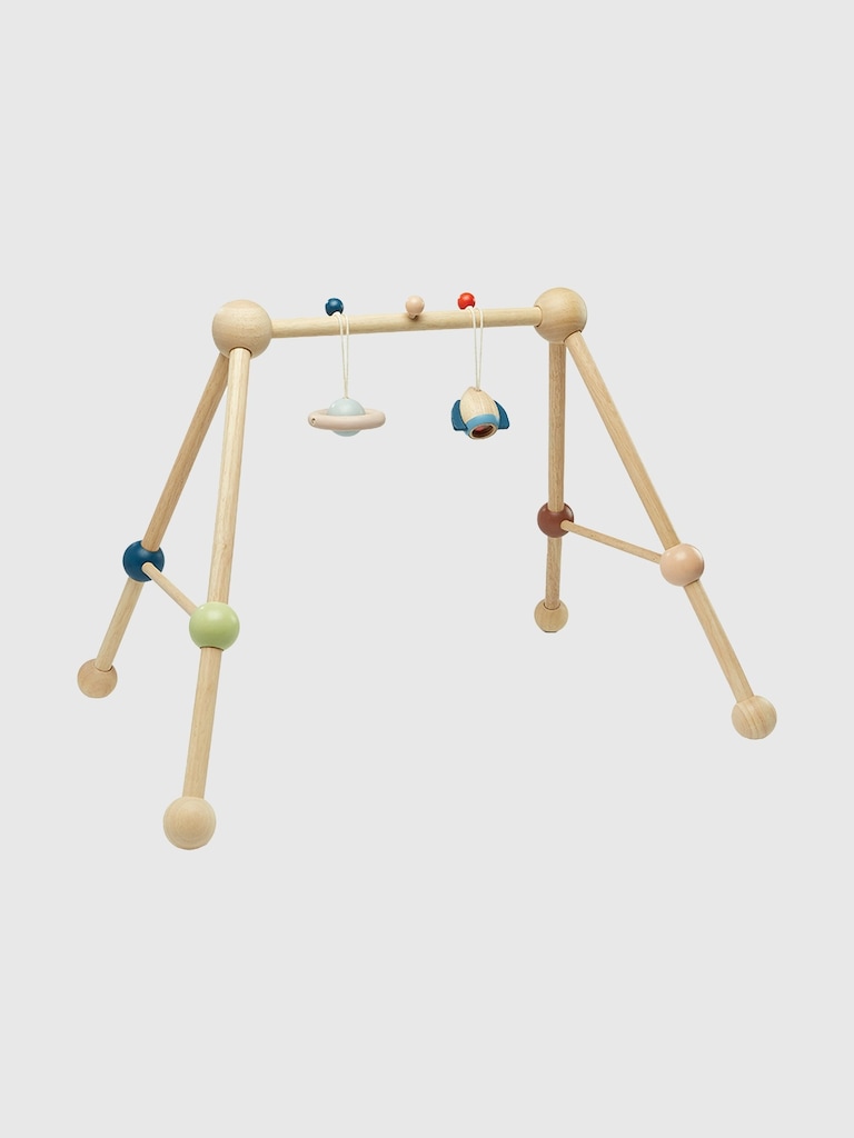 Play Gym