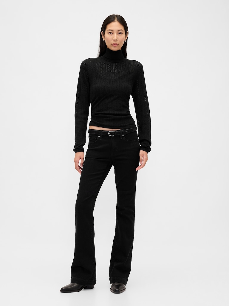 Pointelle Turtleneck Sweater