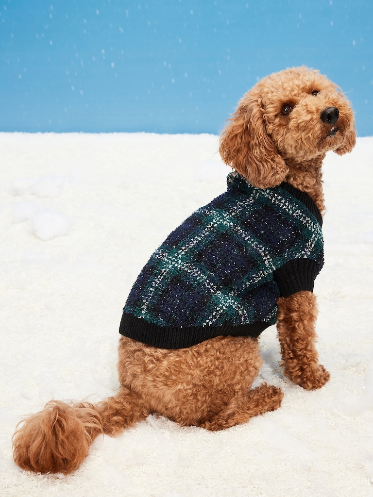 Cozy Printed Sweater for Pets