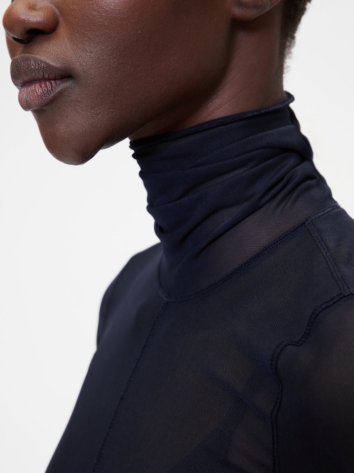 GapStudio Sheer Mesh Turtleneck