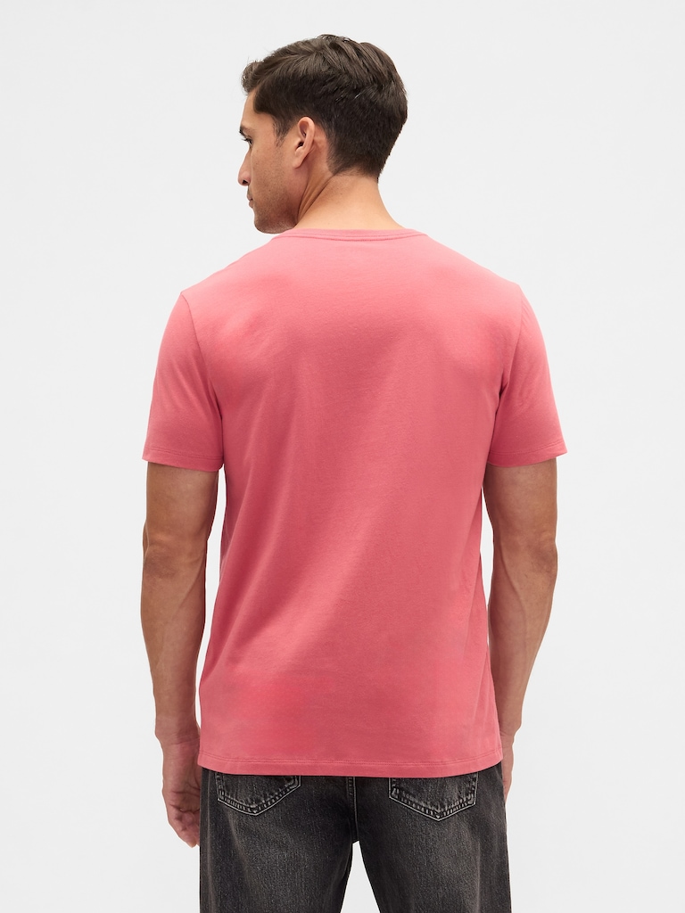 Everyday Soft V-Neck T-Shirt