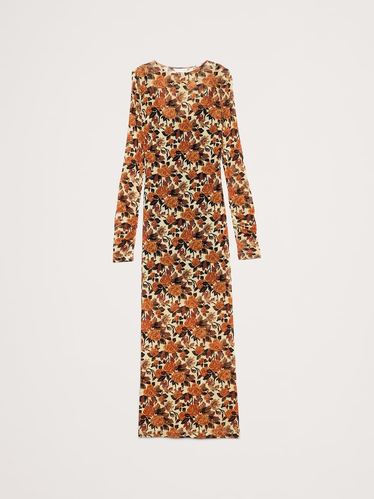 Printed Mesh Maxi Dress