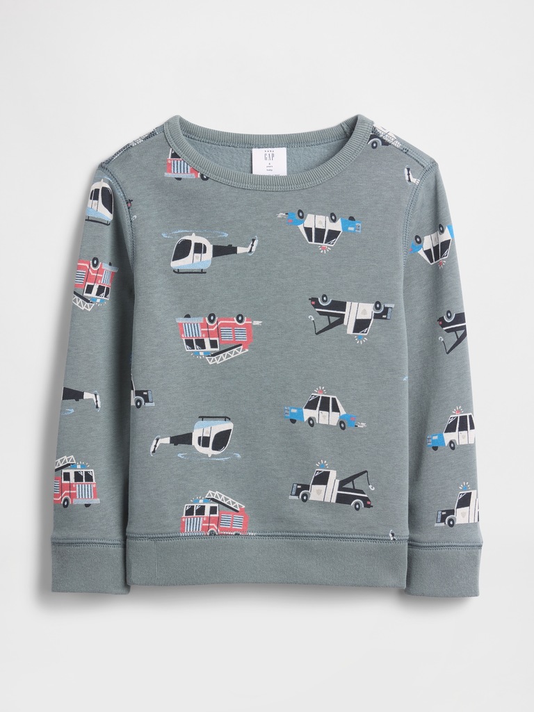 babyGap Crewneck Sweatshirt
