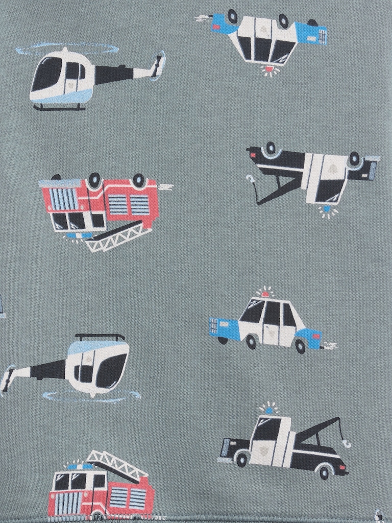 babyGap Crewneck Sweatshirt