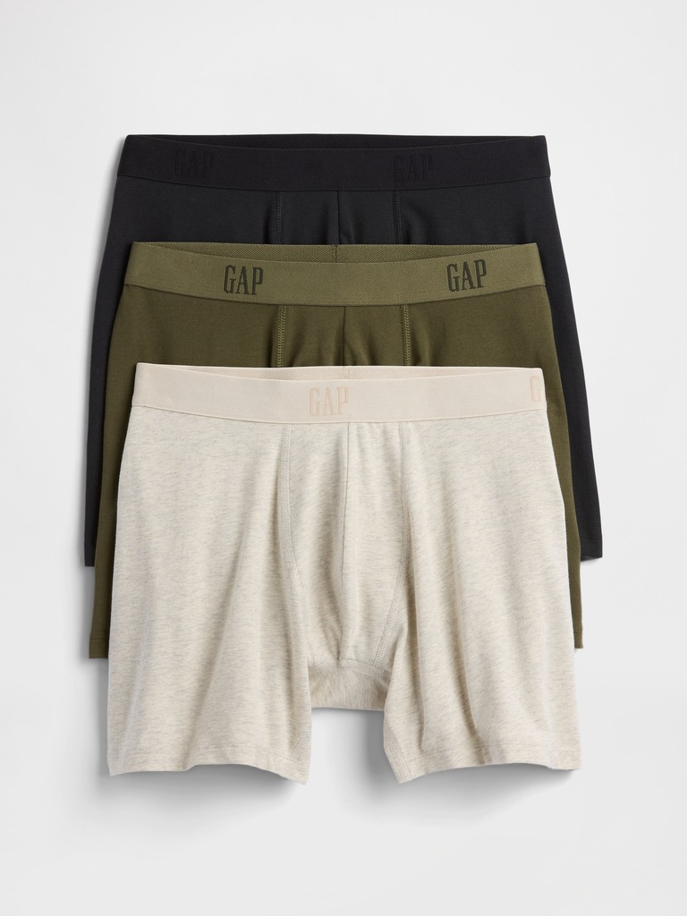 5" Boxer Briefs (3-Pack)
