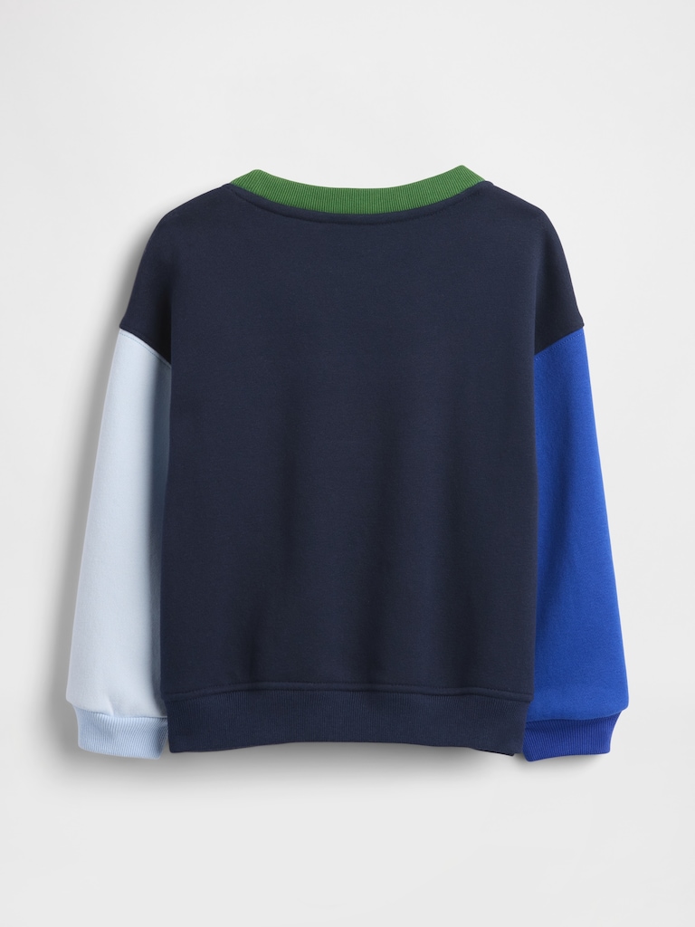 Baby & Toddler VintageSoft Colorblock Sweatshirt