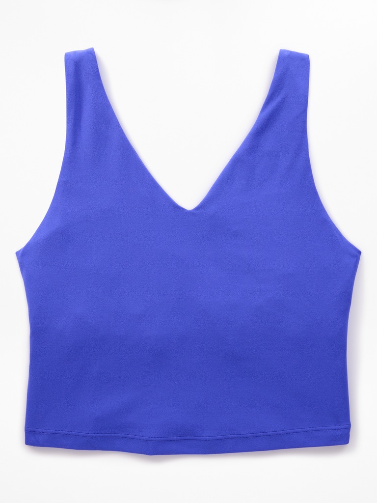 Transcend V-Neck Crop Sports Bra D-DD
