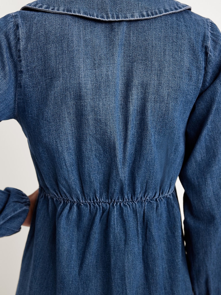 Long-Sleeve Fit & Flare Collared Jean Mini Dress
