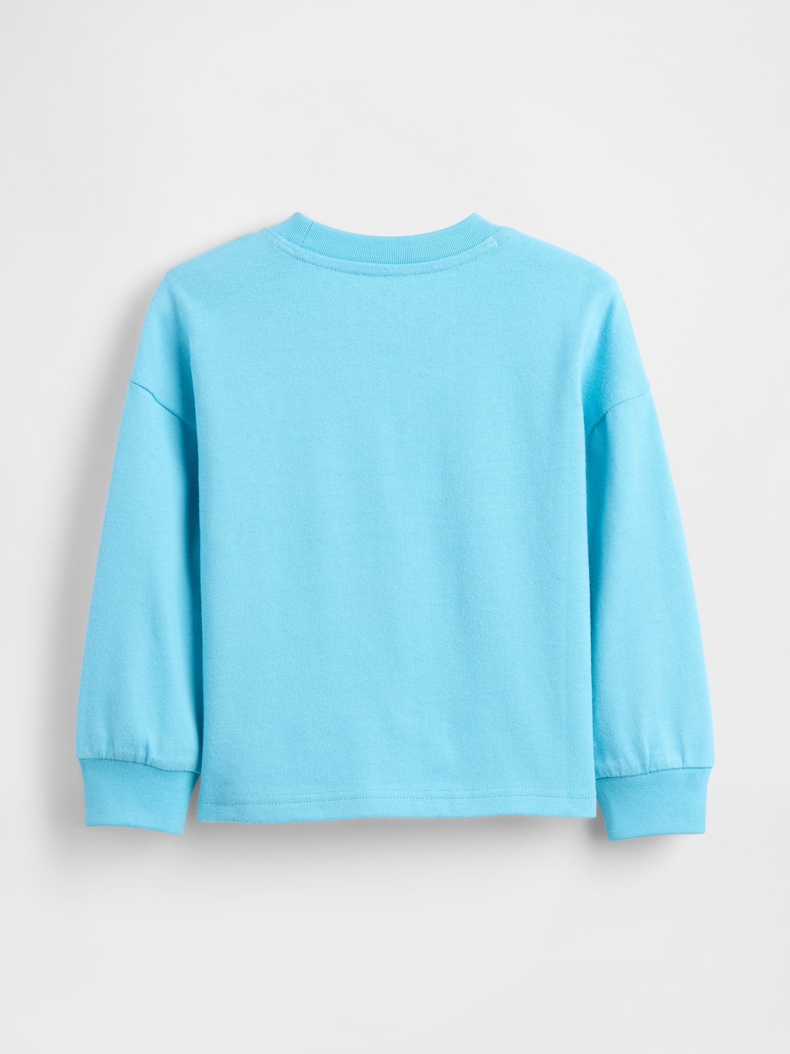 Baby & Toddler Heavyweight T-Shirt