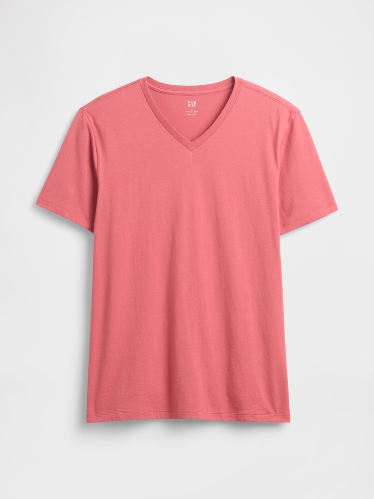 Everyday Soft V-Neck T-Shirt