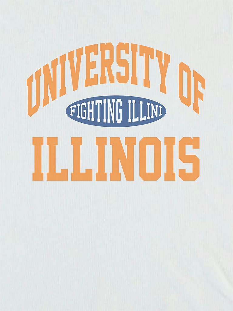 University of Illinois Vintage Fighting Illini Crop T-Shirt