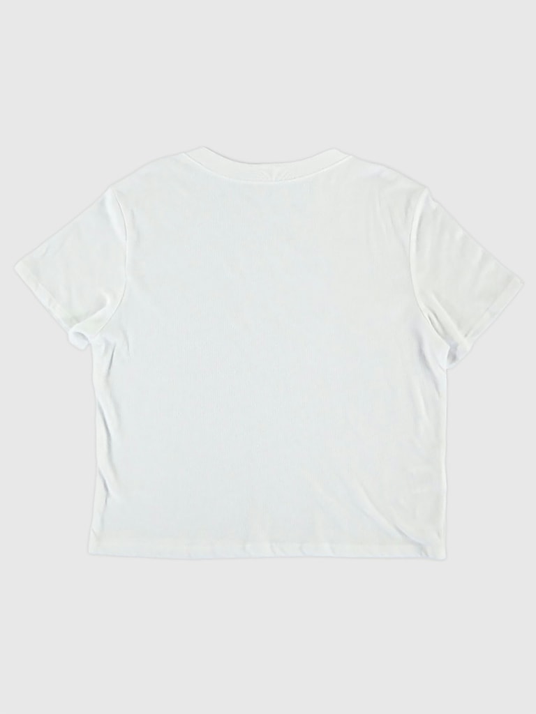 University of Illinois Vintage Fighting Illini Crop T-Shirt