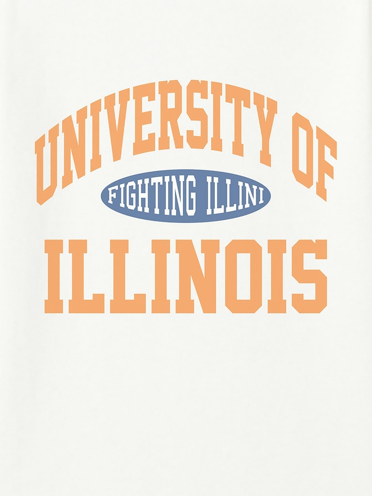 University of Illinois Vintage Fighting Illini Graphic T-Shirt