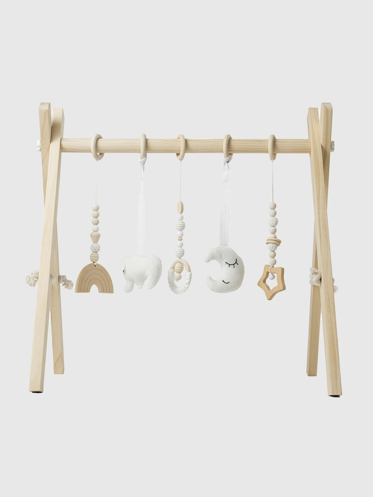 Comfy Cubs Baby Play Gym