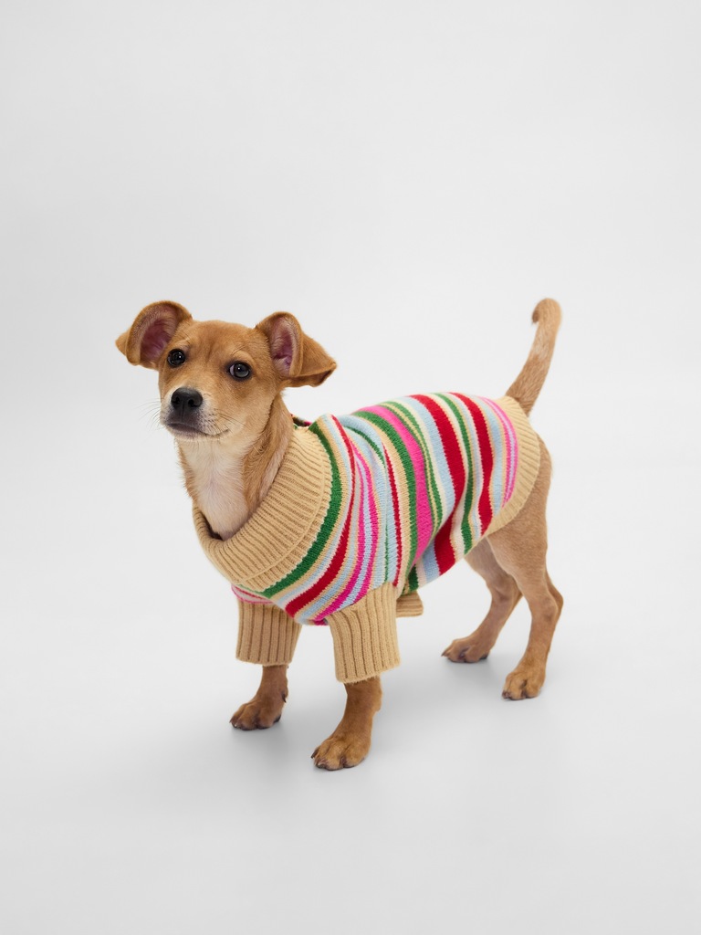 Pet CashSoft Sweater