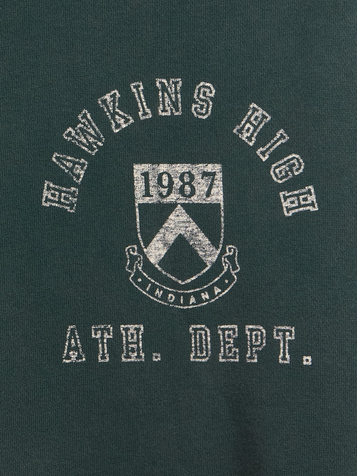 Stranger Things Adult Heavyweight Hoodie