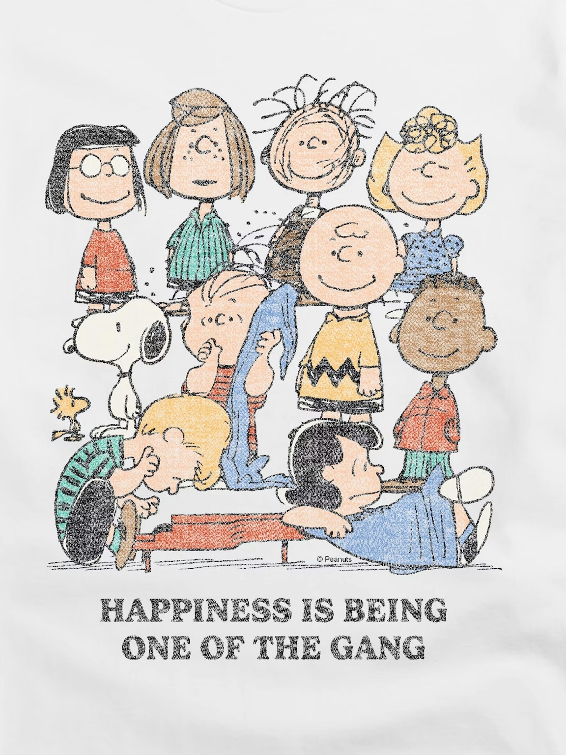 Peanuts One Of The Gang Short Sleeve T-Shirt