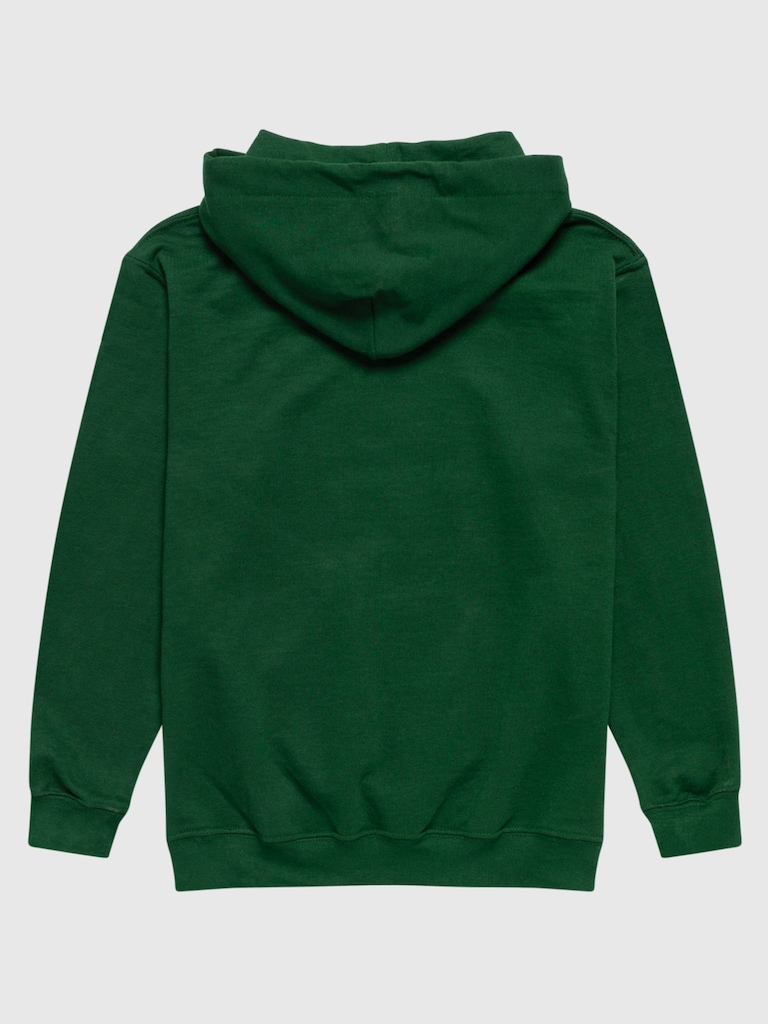 NFL Classic Stripe Pullover Hoodie