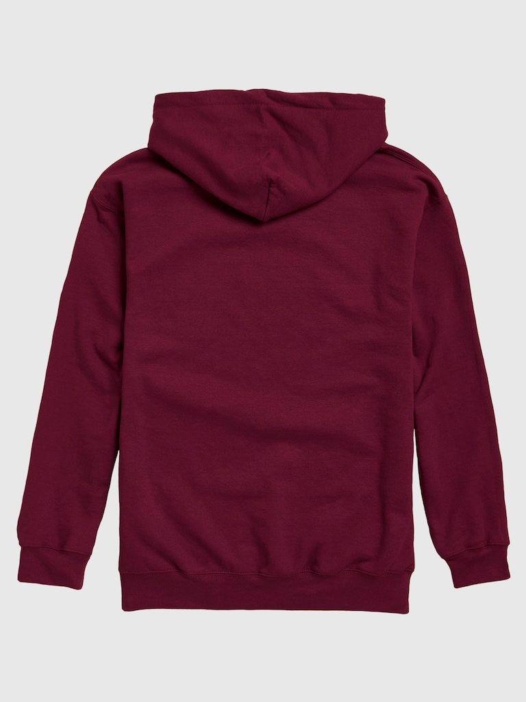 NFL Signature Script Pullover Hoodie