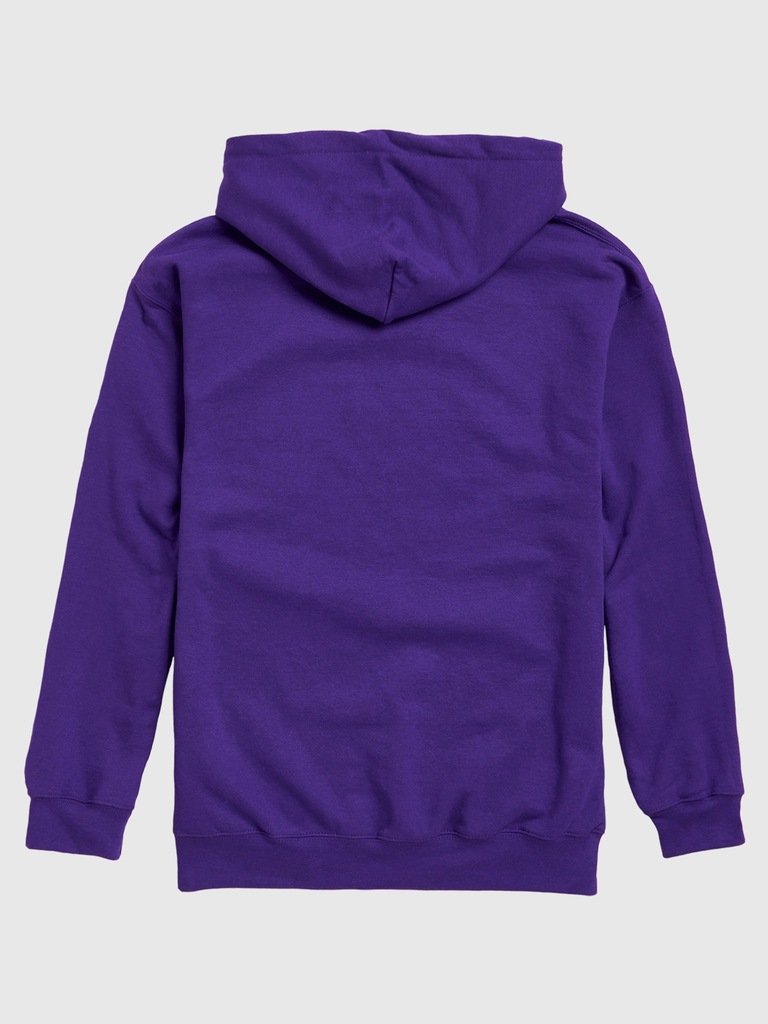 NFL Classic Stripe Pullover Hoodie