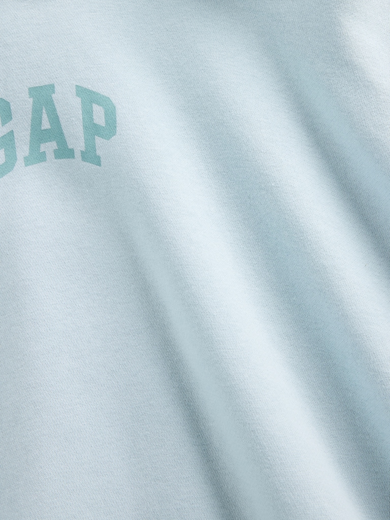 VintageSoft Crop Logo Hoodie