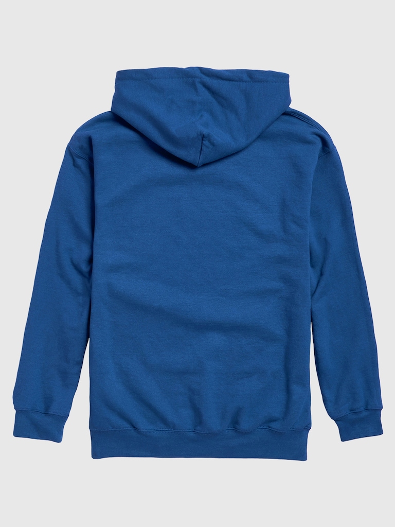 NFL Classic Stripe Pullover Hoodie