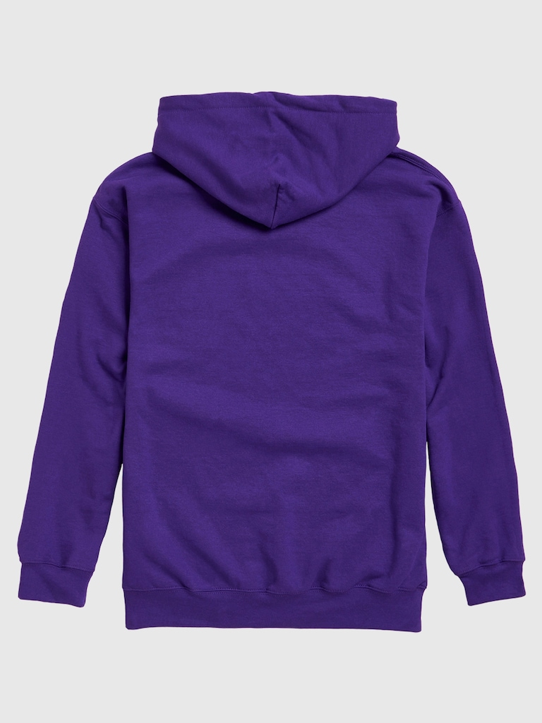 NFL Signature Script Pullover Hoodie