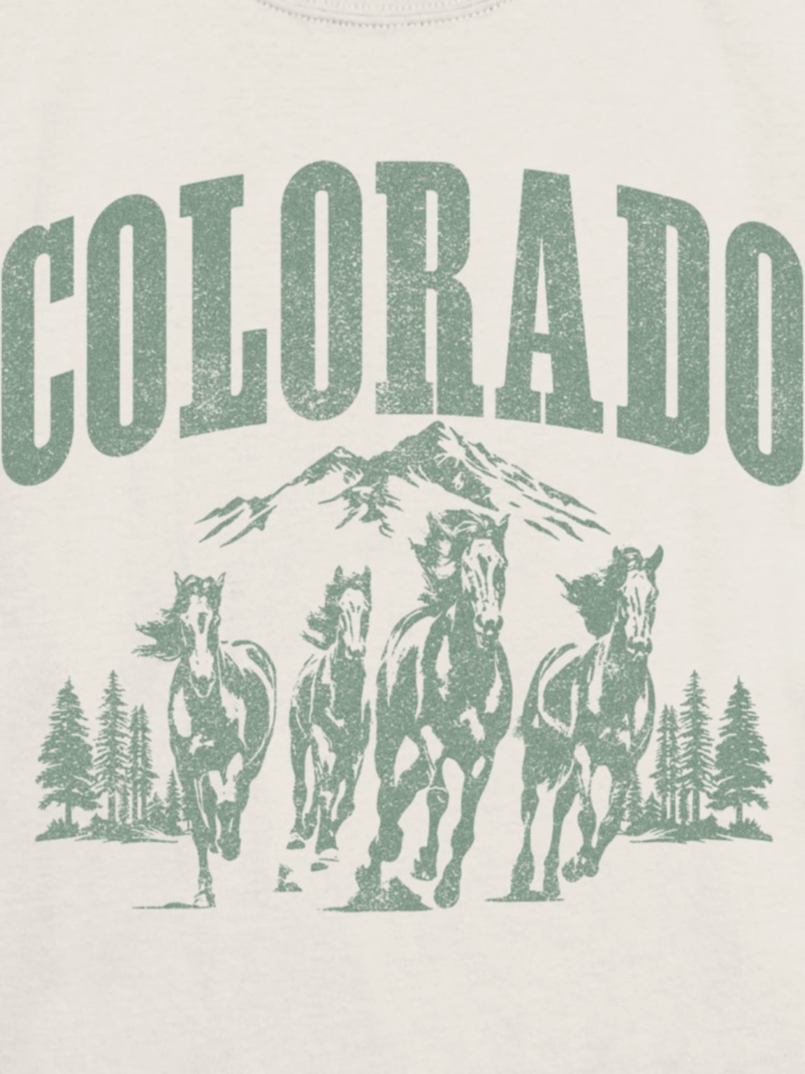 Kids Colorado Horses Graphic T-Shirt