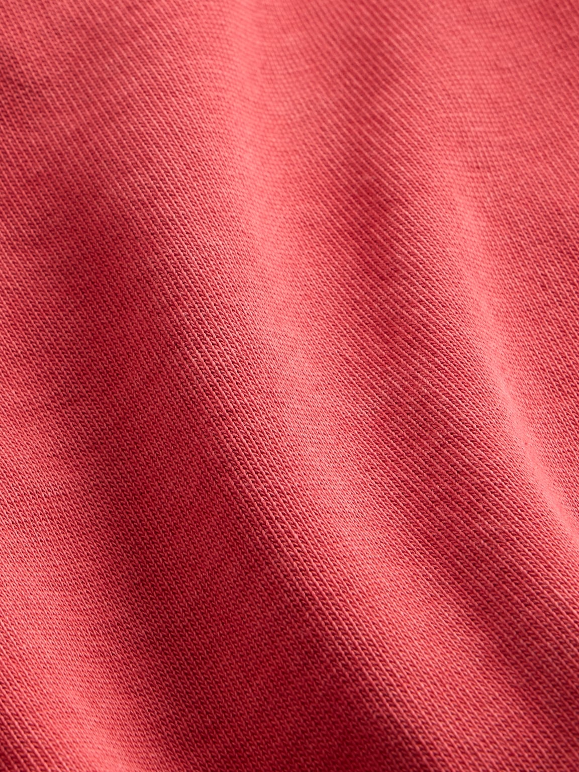 French Terry Raglan Sweatshirt