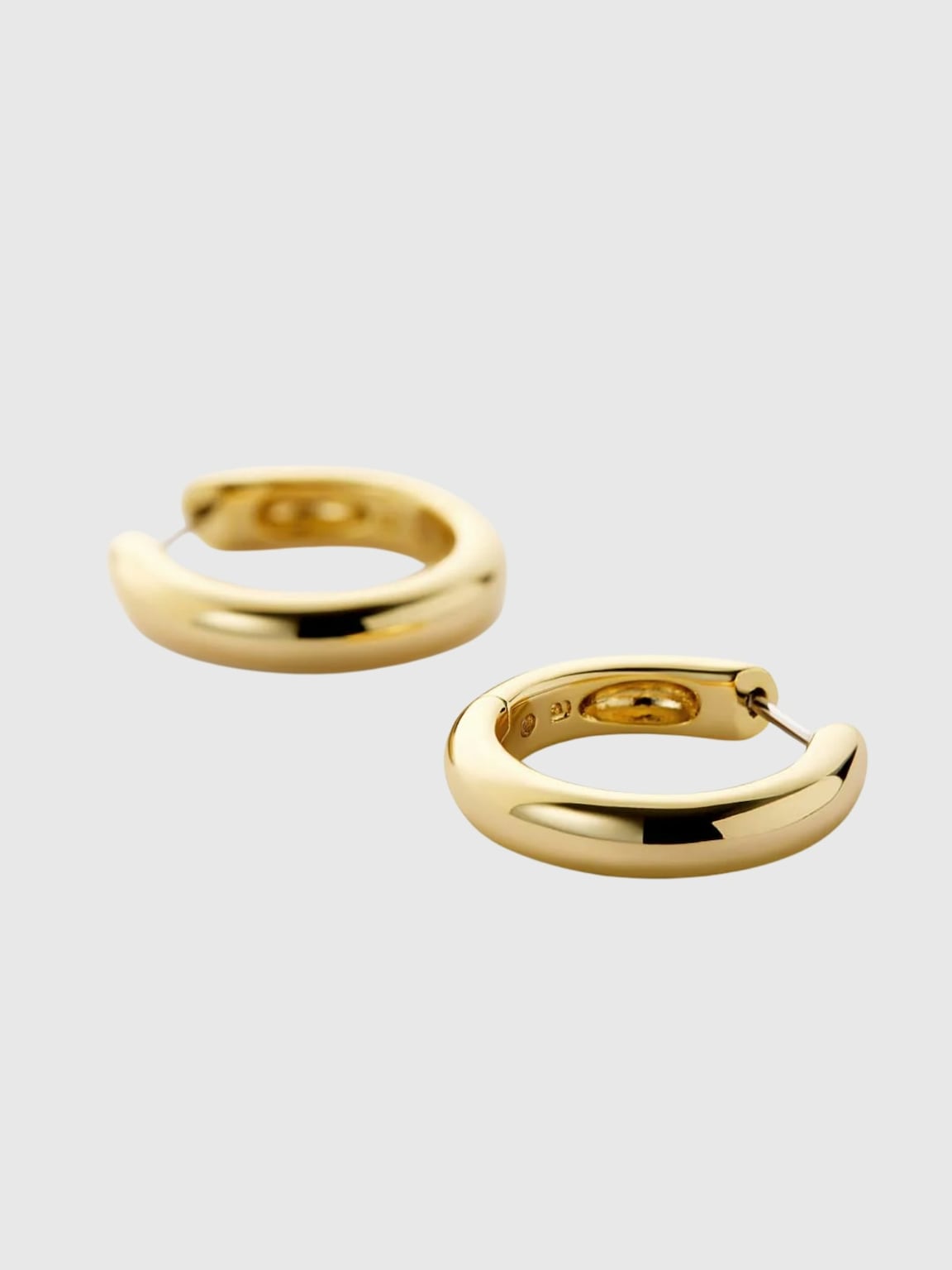 Ana Luisa Giulia Medium Hoop Earrings