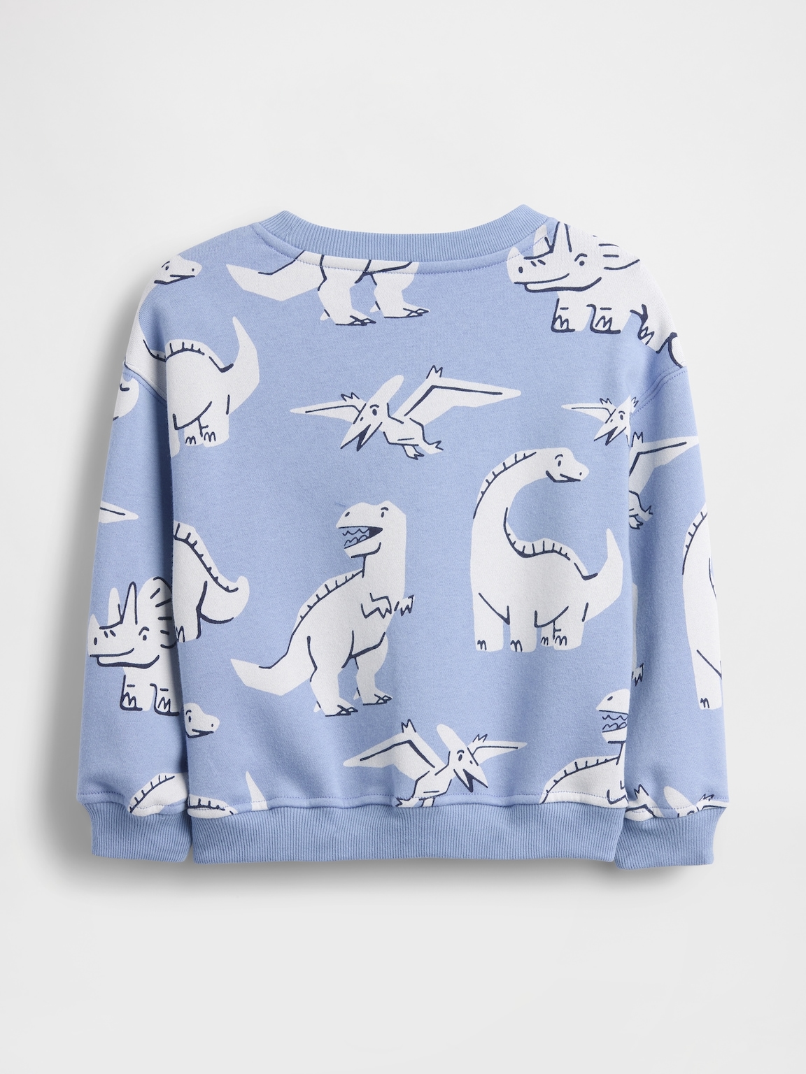 Baby & Toddler VintageSoft Sweatshirt